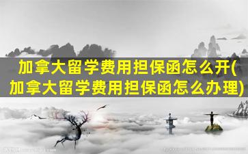 加拿大留学费用担保函怎么开(加拿大留学费用担保函怎么办理)