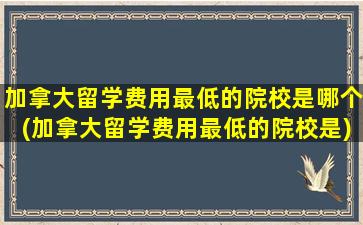 加拿大留学费用最低的院校是哪个(加拿大留学费用最低的院校是)