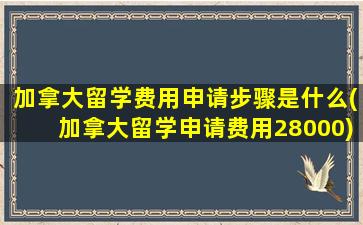 加拿大留学费用申请步骤是什么(加拿大留学申请费用28000)