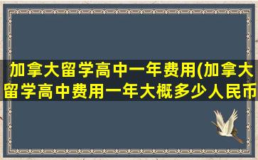 加拿大留学高中一年费用(加拿大留学高中费用一年大概多少人民币)