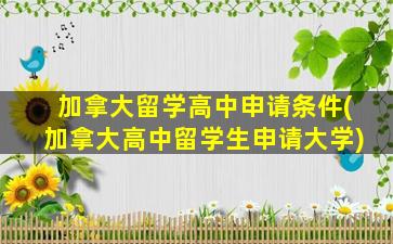 加拿大留学高中申请条件(加拿大高中留学生申请大学)