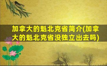 加拿大的魁北克省简介(加拿大的魁北克省没独立出去吗)