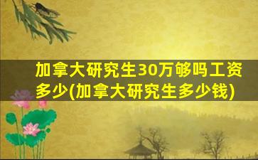 加拿大研究生30万够吗工资多少(加拿大研究生多少钱)