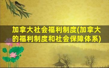 加拿大社会福利制度(加拿大的福利制度和社会保障体系)