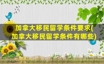 加拿大移民留学条件要求(加拿大移民留学条件有哪些)