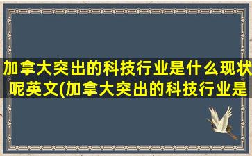 加拿大突出的科技行业是什么现状呢英文(加拿大突出的科技行业是什么现状呢知乎)