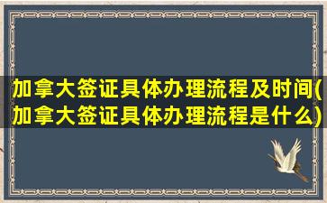 加拿大签证具体办理流程及时间(加拿大签证具体办理流程是什么)