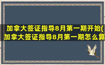 加拿大签证指导8月第一期开始(加拿大签证指导8月第一期怎么算)