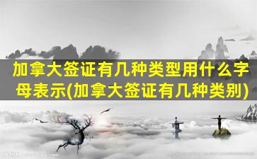 加拿大签证有几种类型用什么字母表示(加拿大签证有几种类别)