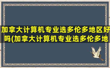 加拿大计算机专业选多伦多地区好吗(加拿大计算机专业选多伦多地区可以吗)