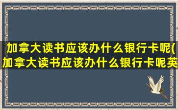 加拿大读书应该办什么银行卡呢(加拿大读书应该办什么银行卡呢英文)