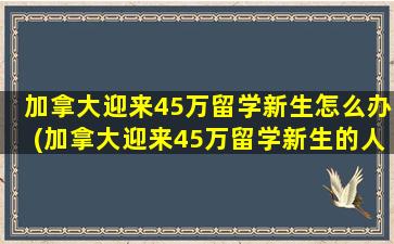 加拿大迎来45万留学新生怎么办(加拿大迎来45万留学新生的人)