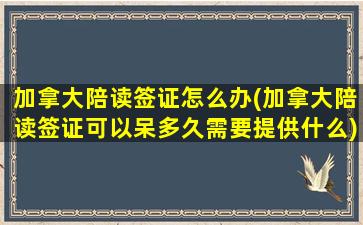 加拿大陪读签证怎么办(加拿大陪读签证可以呆多久需要提供什么)