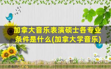 加拿大音乐表演硕士各专业条件是什么(加拿大学音乐)