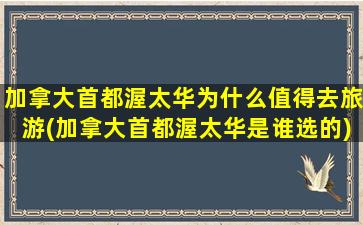 加拿大首都渥太华为什么值得去旅游(加拿大首都渥太华是谁选的)