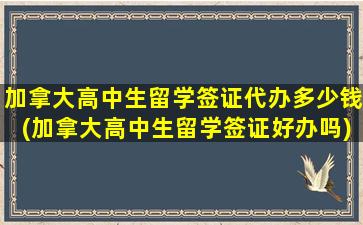 加拿大高中生留学签证代办多少钱(加拿大高中生留学签证好办吗)