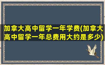 加拿大高中留学一年学费(加拿大高中留学一年总费用大约是多少)