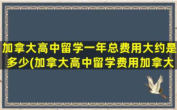 加拿大高中留学一年总费用大约是多少(加拿大高中留学费用加拿大高中)