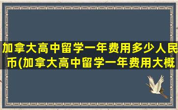 加拿大高中留学一年费用多少人民币(加拿大高中留学一年费用大概是多少)