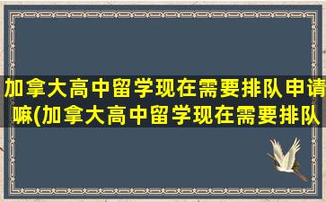 加拿大高中留学现在需要排队申请嘛(加拿大高中留学现在需要排队申请么)