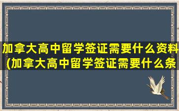 加拿大高中留学签证需要什么资料(加拿大高中留学签证需要什么条件)