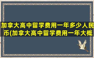 加拿大高中留学费用一年多少人民币(加拿大高中留学费用一年大概多少人民币)