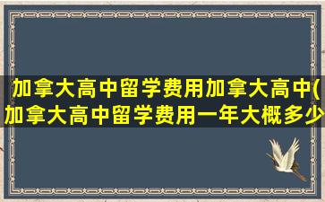 加拿大高中留学费用加拿大高中(加拿大高中留学费用一年大概多少人民币)