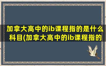 加拿大高中的ib课程指的是什么科目(加拿大高中的ib课程指的是什么内容)