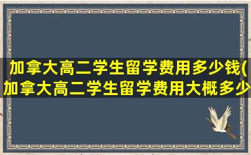 加拿大高二学生留学费用多少钱(加拿大高二学生留学费用大概多少)