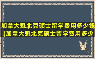 加拿大魁北克硕士留学费用多少钱(加拿大魁北克硕士留学费用多少钱)