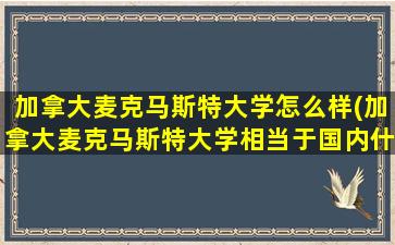 加拿大麦克马斯特大学怎么样(加拿大麦克马斯特大学相当于国内什么大学)