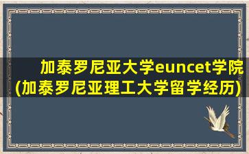 加泰罗尼亚大学euncet学院(加泰罗尼亚理工大学留学经历)