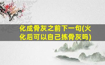 化成骨灰之前下一句(火化后可以自己拣骨灰吗)