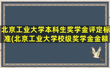 北京工业大学本科生奖学金评定标准(北京工业大学校级奖学金金额)