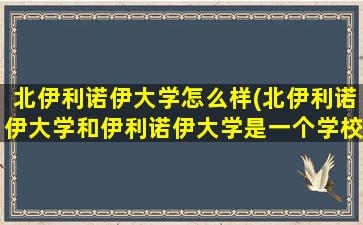 北伊利诺伊大学怎么样(北伊利诺伊大学和伊利诺伊大学是一个学校吗-)