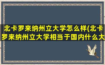 北卡罗来纳州立大学怎么样(北卡罗来纳州立大学相当于国内什么大学)