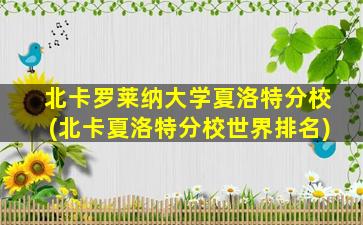 北卡罗莱纳大学夏洛特分校(北卡夏洛特分校世界排名)