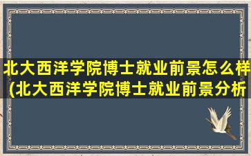 北大西洋学院博士就业前景怎么样(北大西洋学院博士就业前景分析)