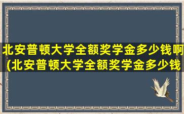 北安普顿大学全额奖学金多少钱啊(北安普顿大学全额奖学金多少钱一个月)