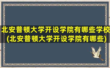 北安普顿大学开设学院有哪些学校(北安普顿大学开设学院有哪些)