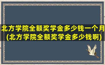 北方学院全额奖学金多少钱一个月(北方学院全额奖学金多少钱啊)