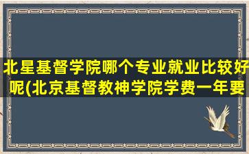 北星基督学院哪个专业就业比较好呢(北京基督教神学院学费一年要多少钱)