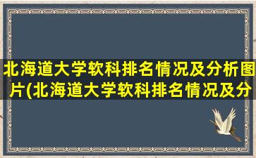 北海道大学软科排名情况及分析图片(北海道大学软科排名情况及分析报告)