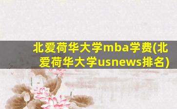 北爱荷华大学mba学费(北爱荷华大学usnews排名)