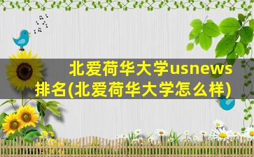 北爱荷华大学usnews排名(北爱荷华大学怎么样)