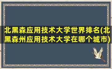 北黑森应用技术大学世界排名(北黑森州应用技术大学在哪个城市)