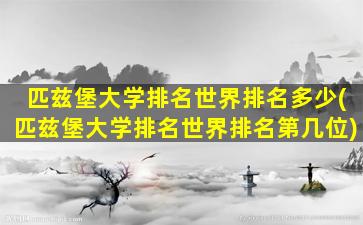 匹兹堡大学排名世界排名多少(匹兹堡大学排名世界排名第几位)