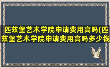 匹兹堡艺术学院申请费用高吗(匹兹堡艺术学院申请费用高吗多少钱)