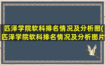 匹泽学院软科排名情况及分析图(匹泽学院软科排名情况及分析图片)