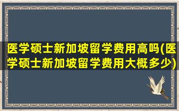 医学硕士新加坡留学费用高吗(医学硕士新加坡留学费用大概多少)